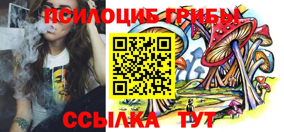 Псилоцибиновые грибы мицелий  Вход с VPN  Дмитров 