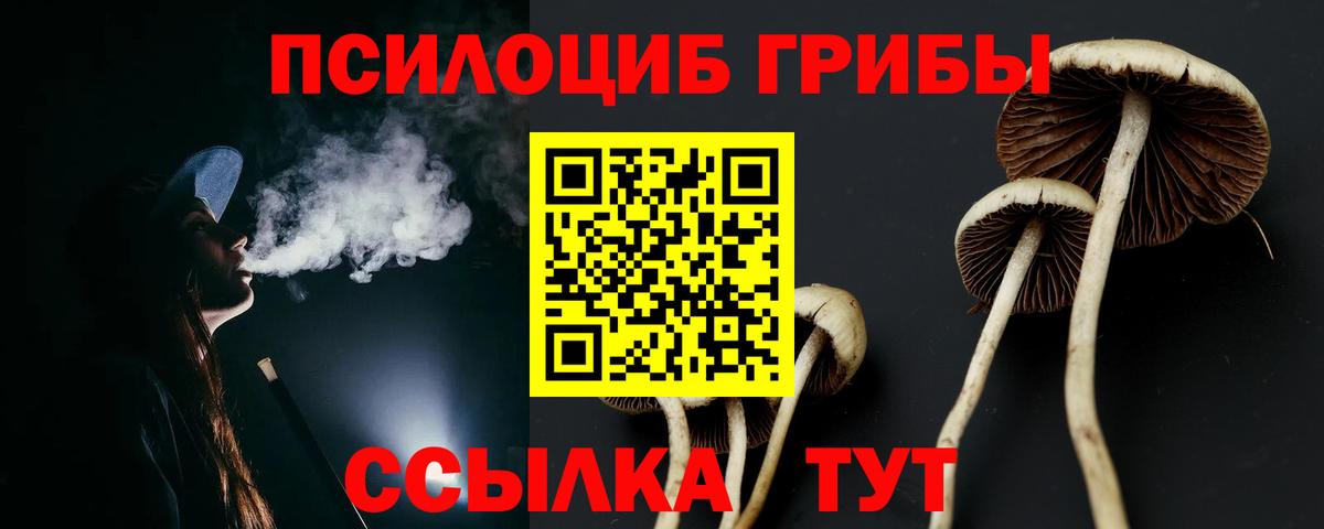 Псилоцибиновые грибы Psilocybine cubensis Дмитров